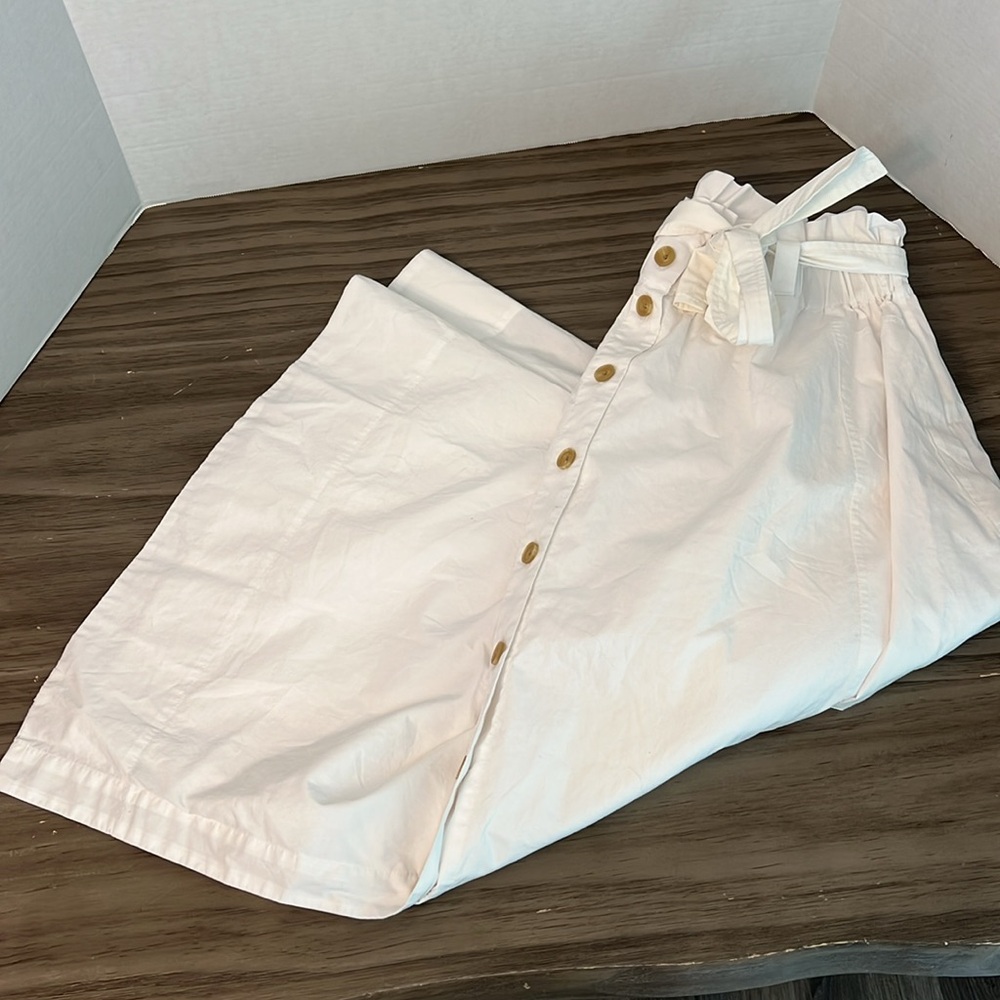 EVERLANE EASY BUTTON FRONT WHITE MIDI  SKIRT SIZE XL - Picture 13 of 16